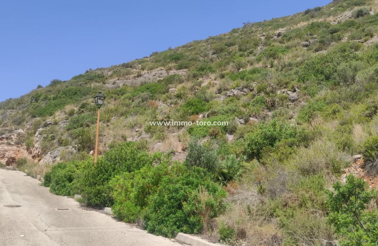 Resale - terrain - Jalón