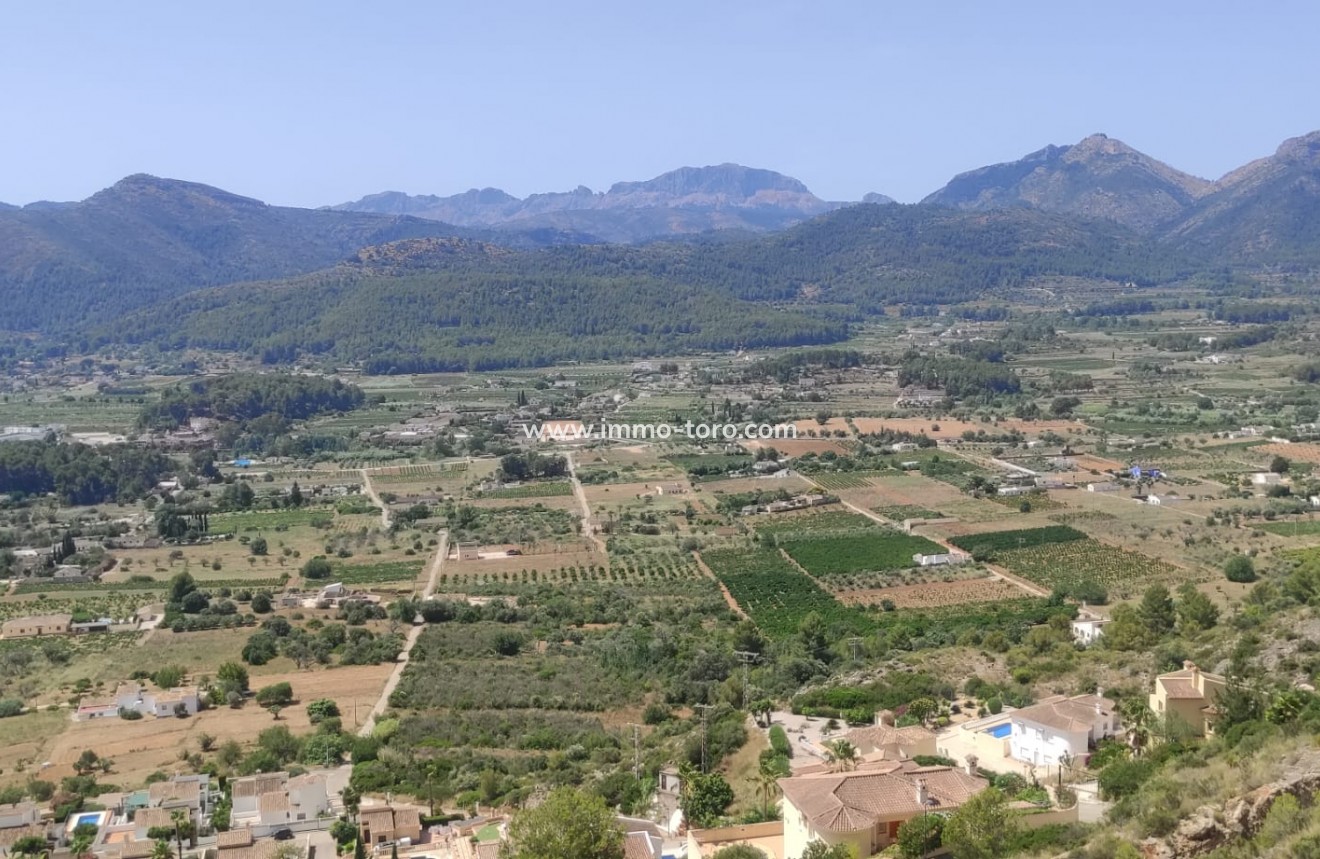 Resale - terrain - Jalón