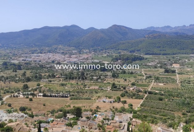Resale - terrain - Jalón