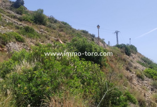 Resale - terrain - Jalón