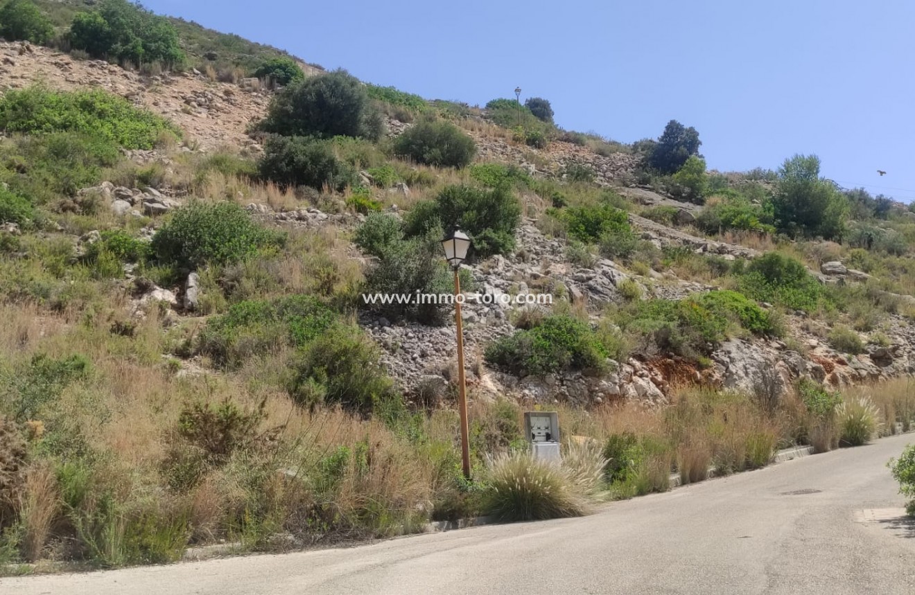 Resale - terrain - Jalón