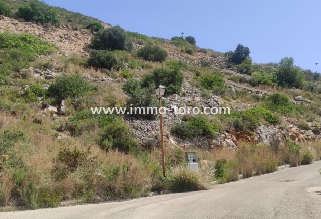 Resale - terrain - Jalón