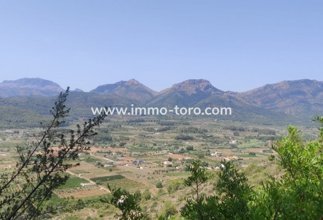 Resale - terrain - Jalón