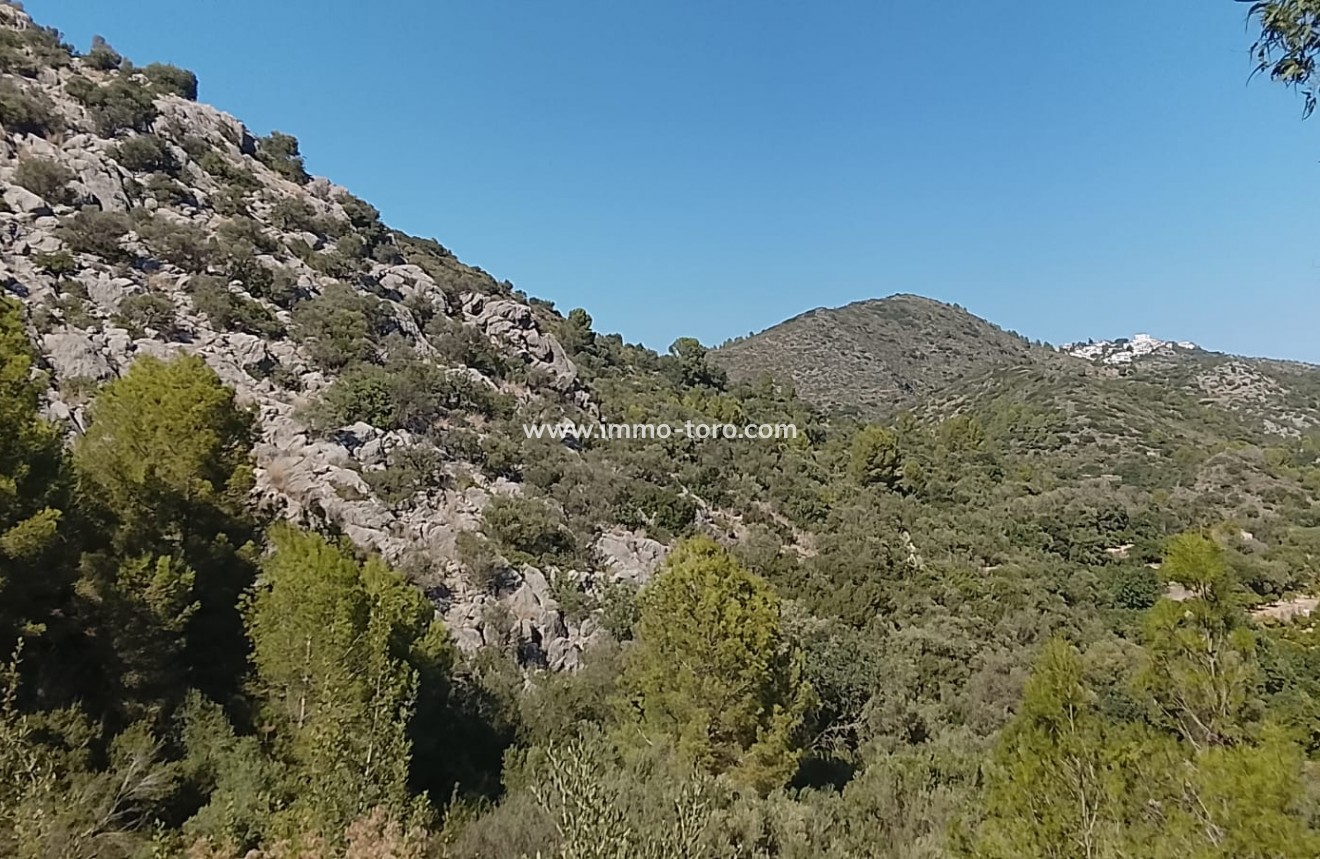 Herverkoop - terrain - Ráfol de Almunia