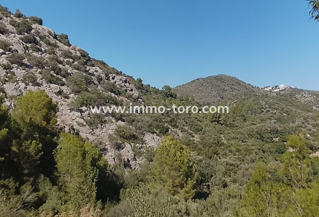Herverkoop - terrain - Ráfol de Almunia
