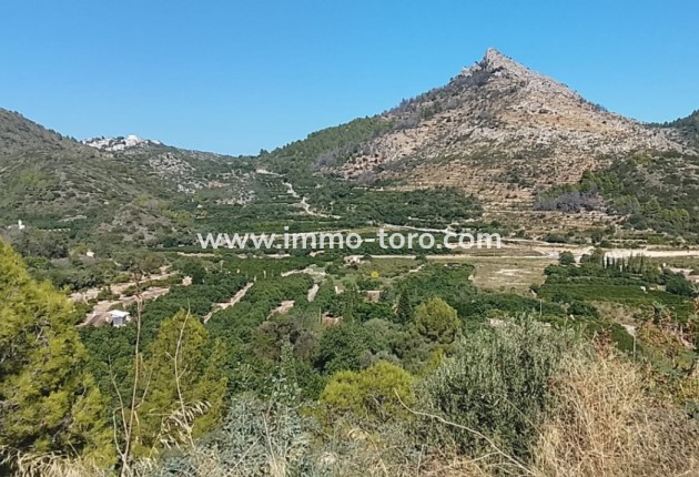 Herverkoop - terrain - Ráfol de Almunia