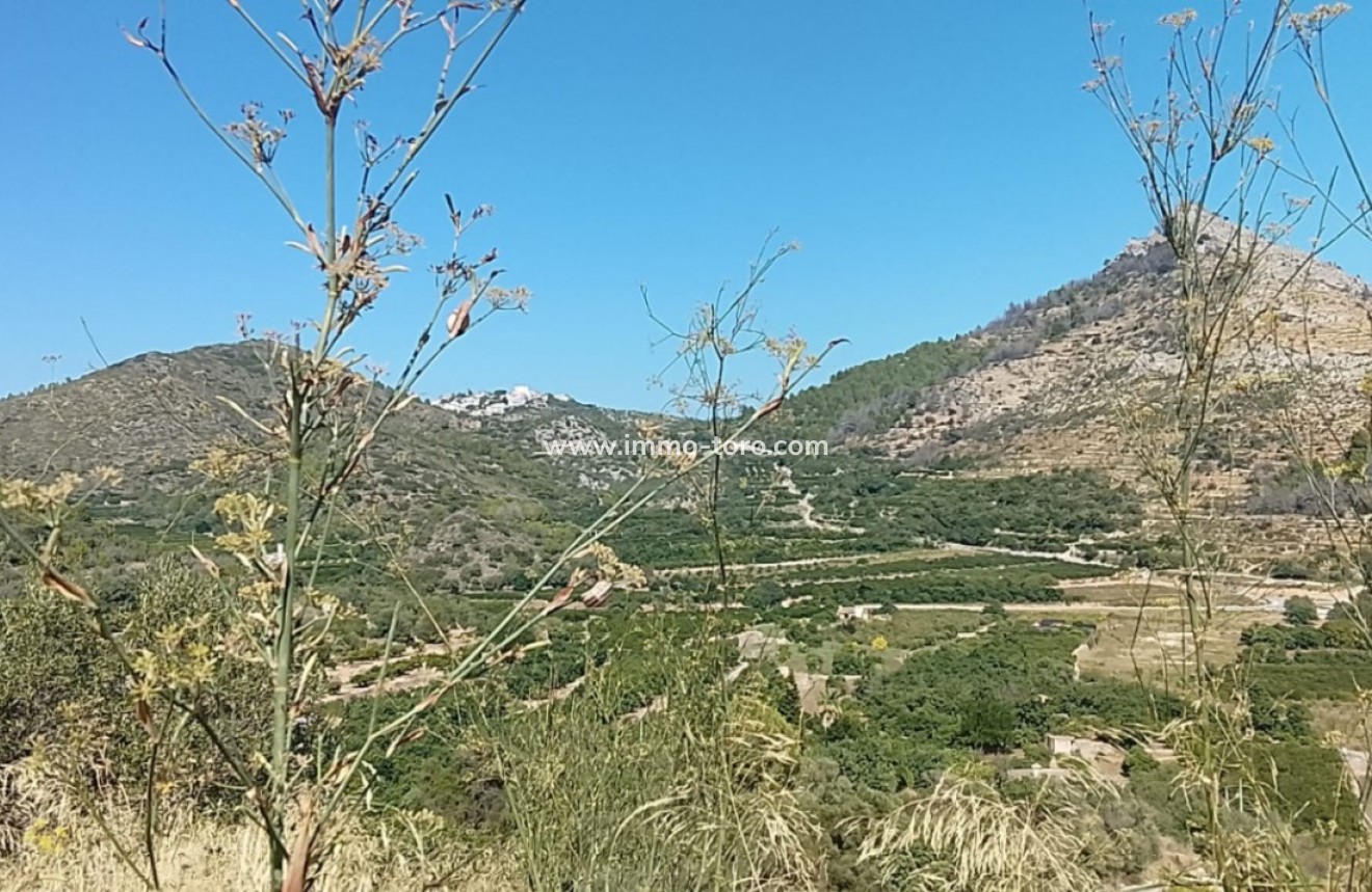 Herverkoop - terrain - Ráfol de Almunia