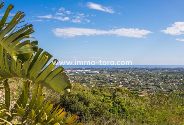 New Build - Villa - Pedreguer - Monte Solana