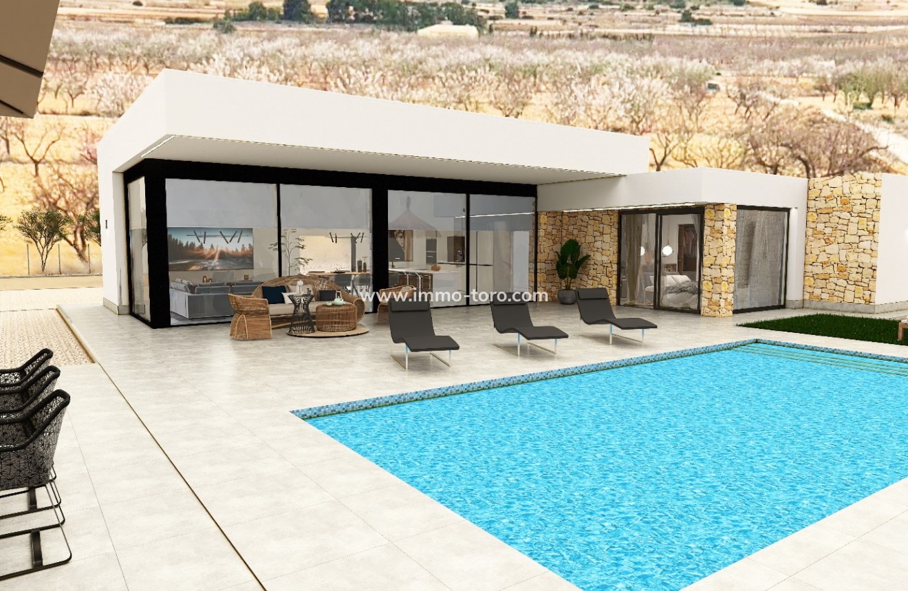 Nouvelle construction - Villa - Pinoso