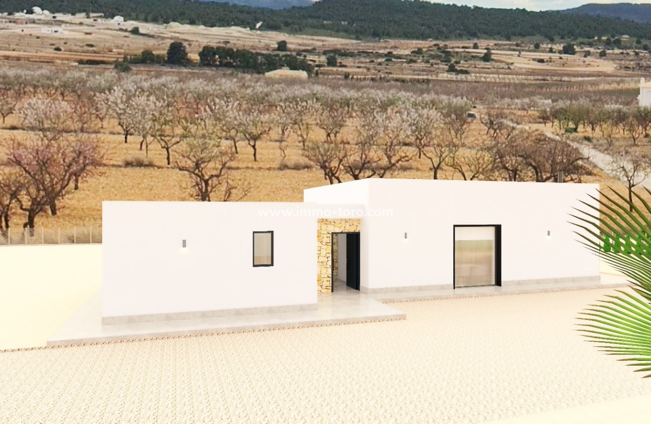 Nouvelle construction - Villa - Pinoso