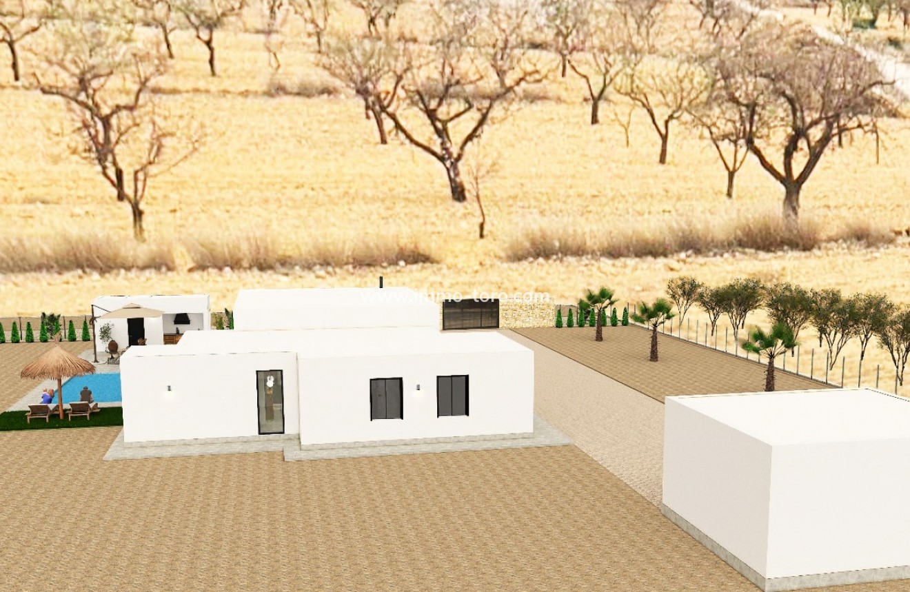Nouvelle construction - Villa - Pinoso