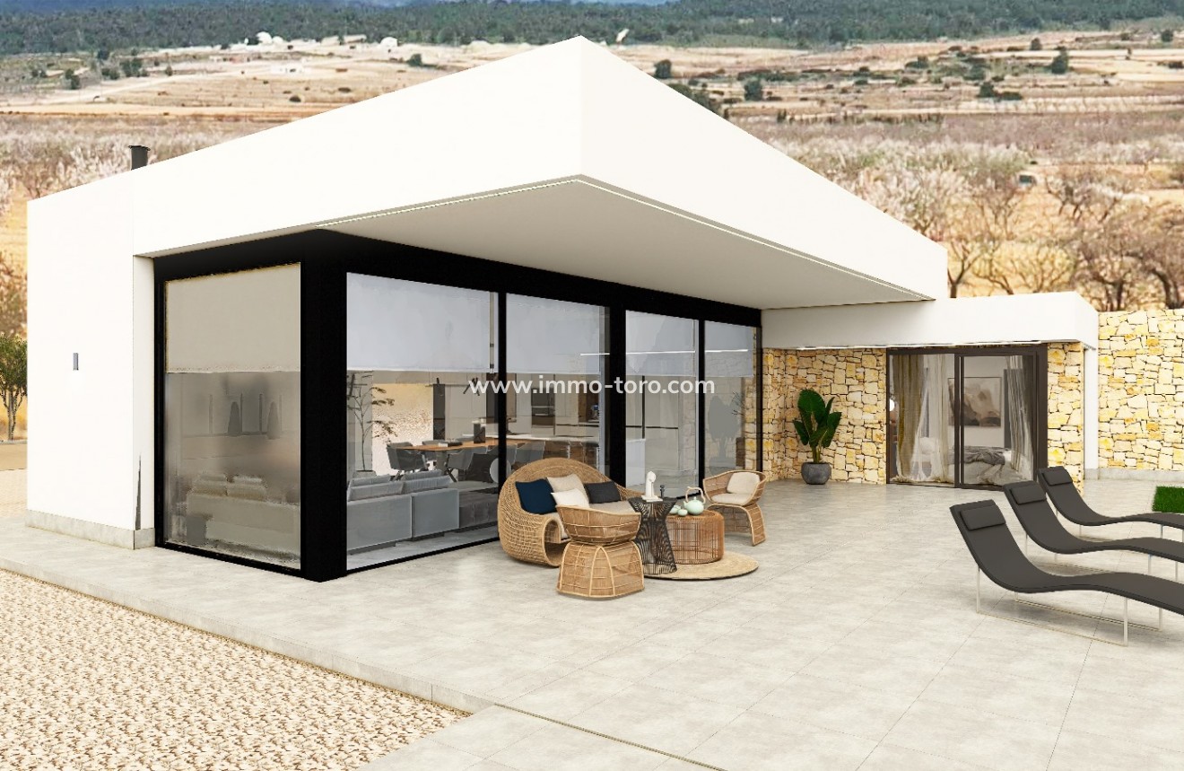 Nouvelle construction - Villa - Pinoso