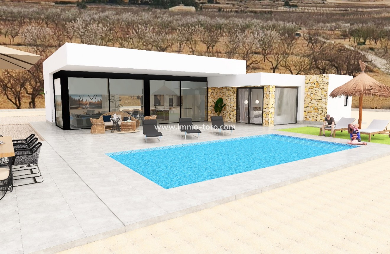 Nouvelle construction - Villa - Pinoso