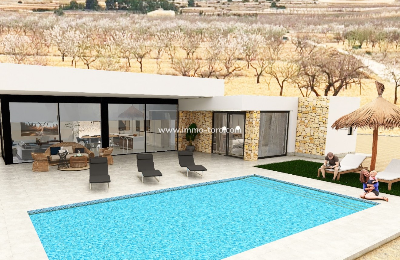 Nouvelle construction - Villa - Pinoso