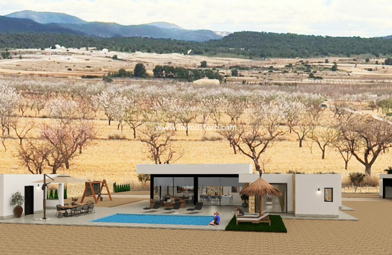 Nouvelle construction - Villa - Pinoso