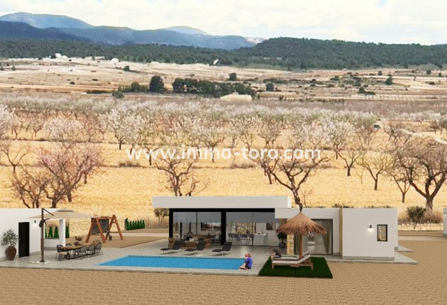 Nouvelle construction - Villa - Pinoso