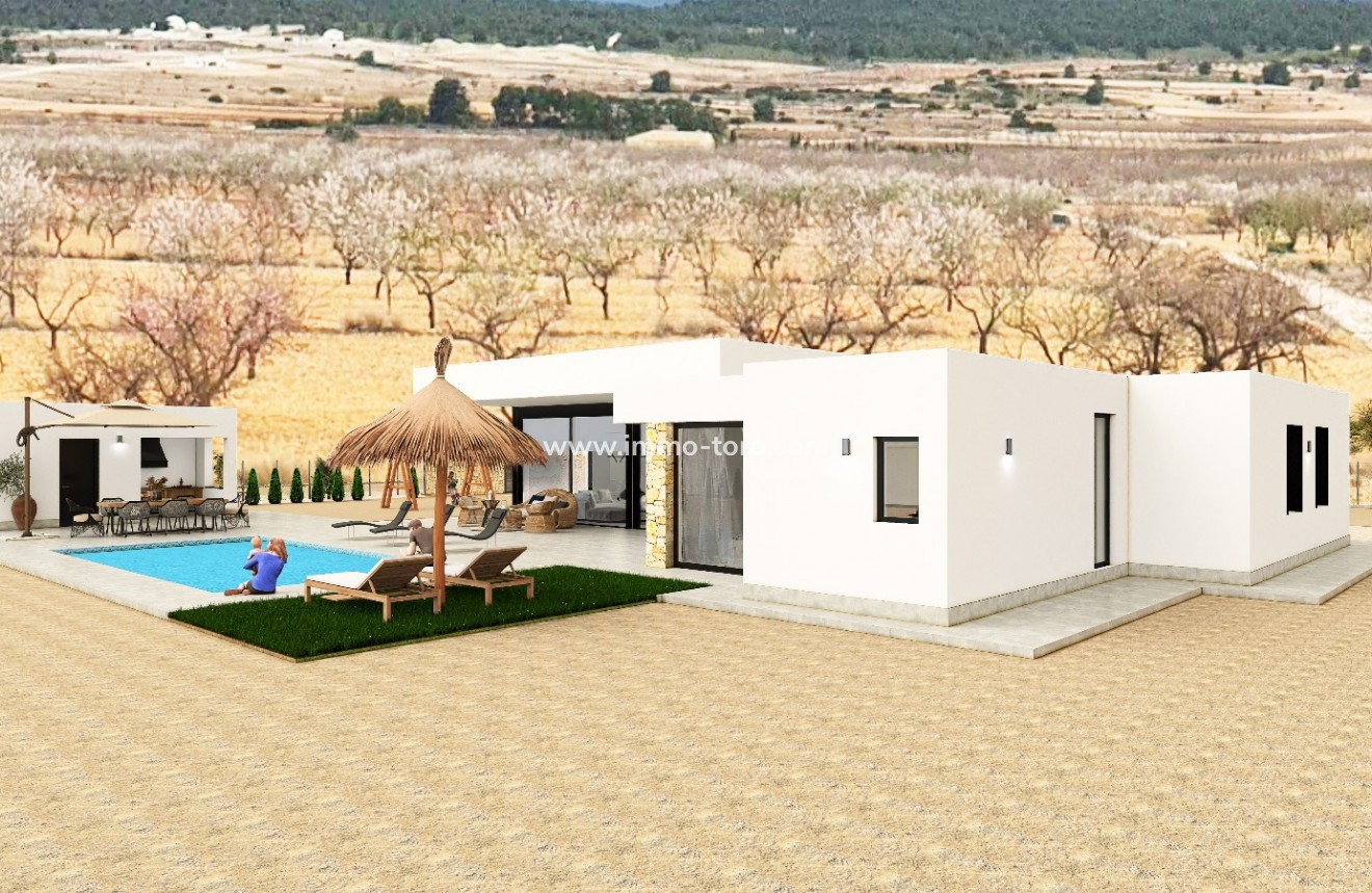 Nouvelle construction - Villa - Pinoso