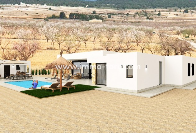 Nouvelle construction - Villa - Pinoso