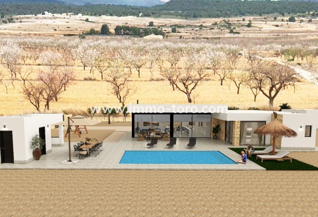 Nouvelle construction - Villa - Pinoso
