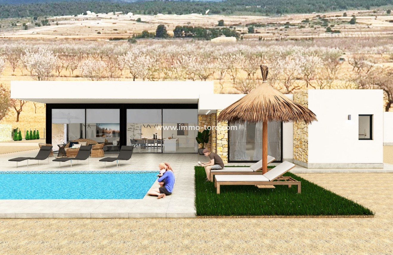 Nouvelle construction - Villa - Pinoso