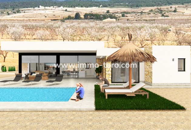 Nouvelle construction - Villa - Pinoso