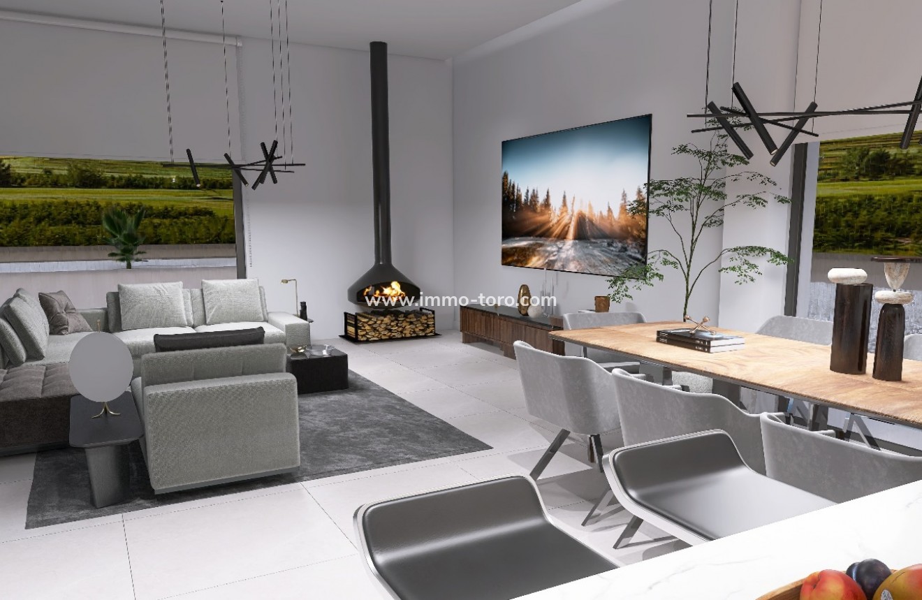 Nouvelle construction - Villa - Pinoso