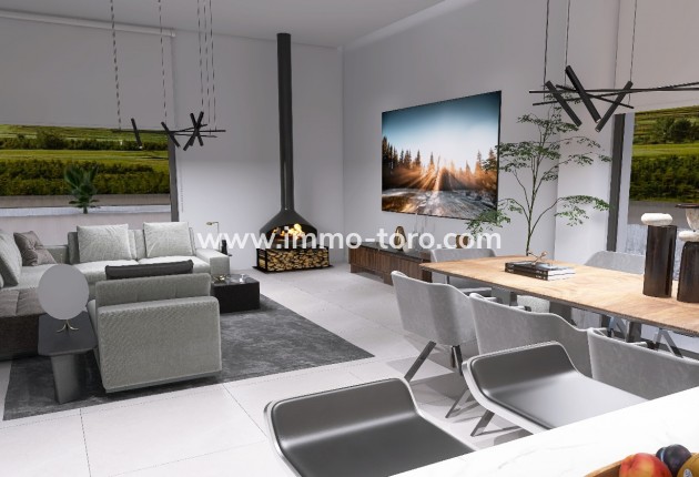 Nouvelle construction - Villa - Pinoso