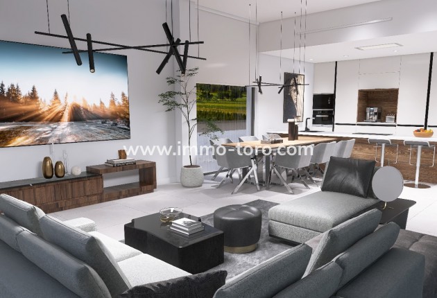 Nouvelle construction - Villa - Pinoso