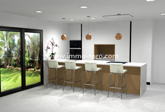 Nouvelle construction - Villa - Pinoso
