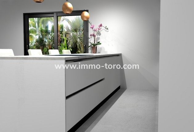 Nouvelle construction - Villa - Pinoso