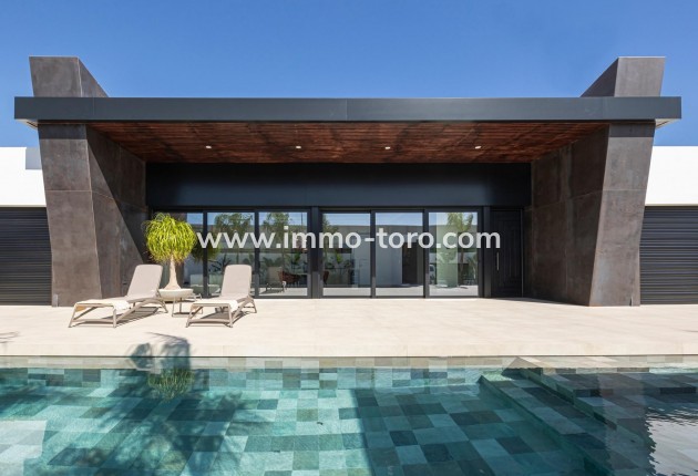 New Build - Villa - Rojales - Ciudad Quesada