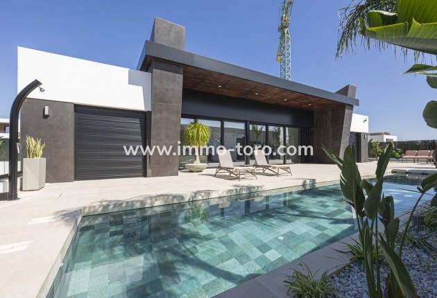 New Build - Villa - Rojales - Ciudad Quesada