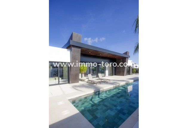 Nouvelle construction - Villa - Ciudad Quesada
