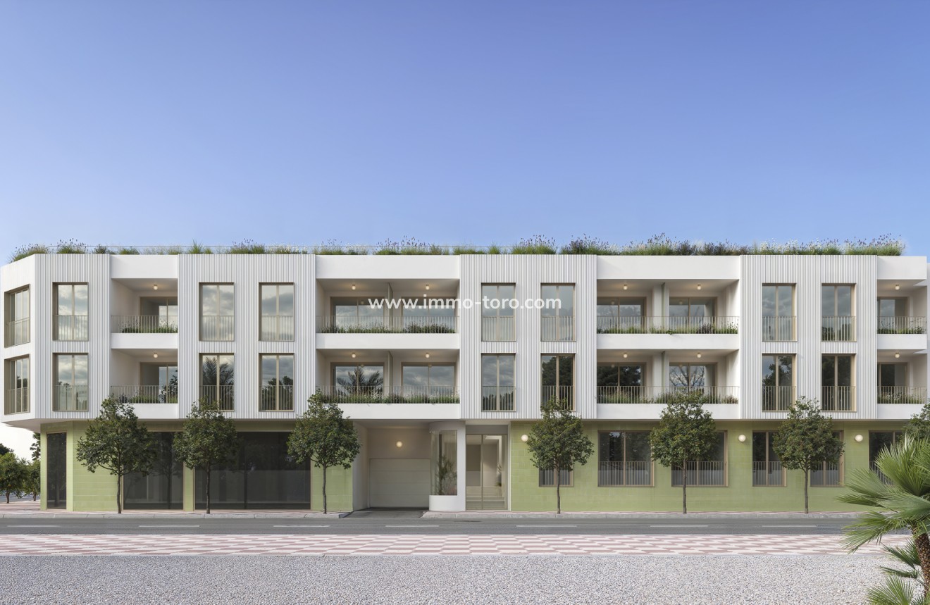 Nueva construcción  - Apartamento - Jacarilla