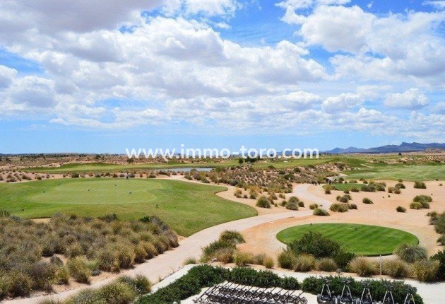 New Build - Villa - Alhama De Murcia - Condado De Alhama