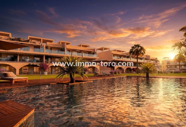 New Build - Penthouse - Vera - Vera Playa