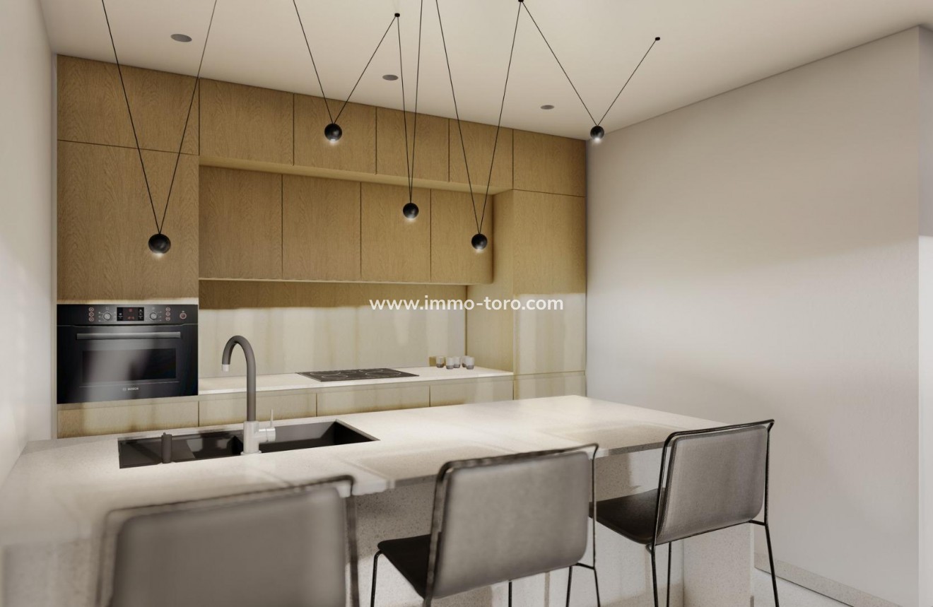 New Build - Penthouse - Guardamar - El Raso