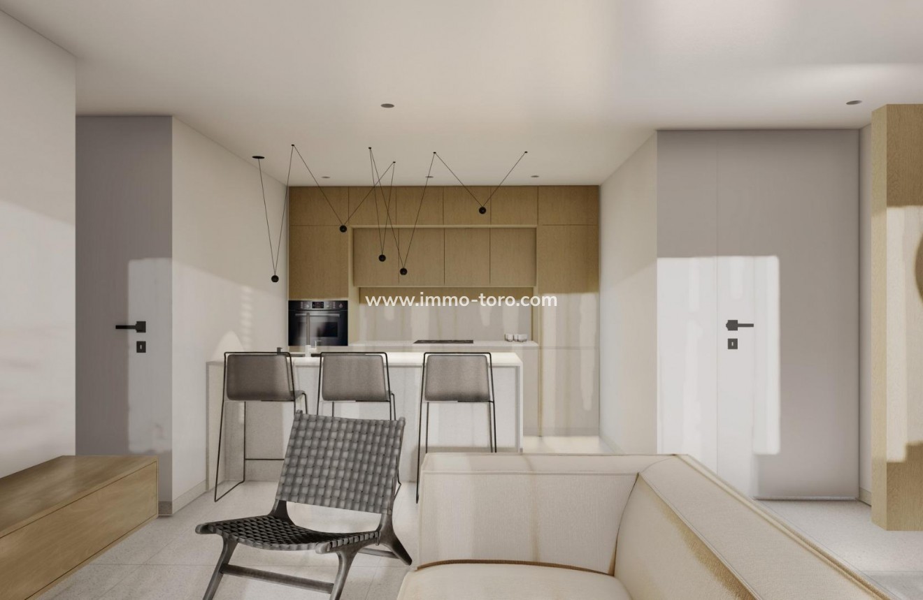 New Build - Penthouse - Guardamar - El Raso