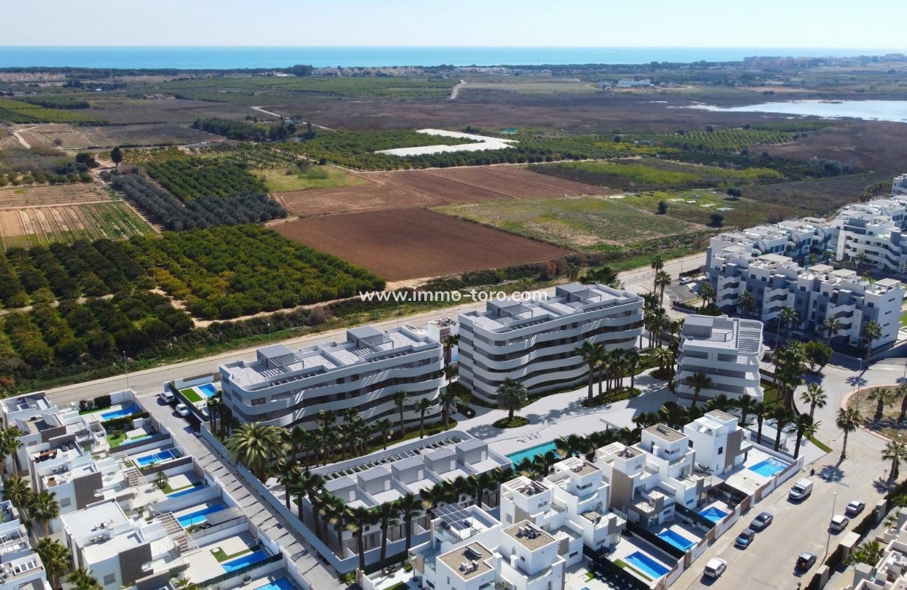 New Build - Detached house / Townhouse - Guardamar - El Raso