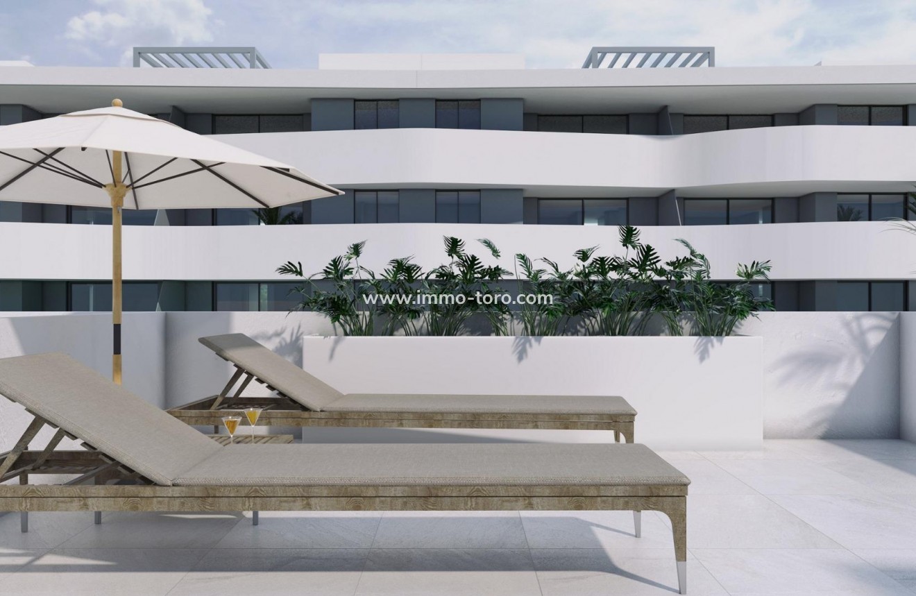 New Build - Detached house / Townhouse - Guardamar - El Raso