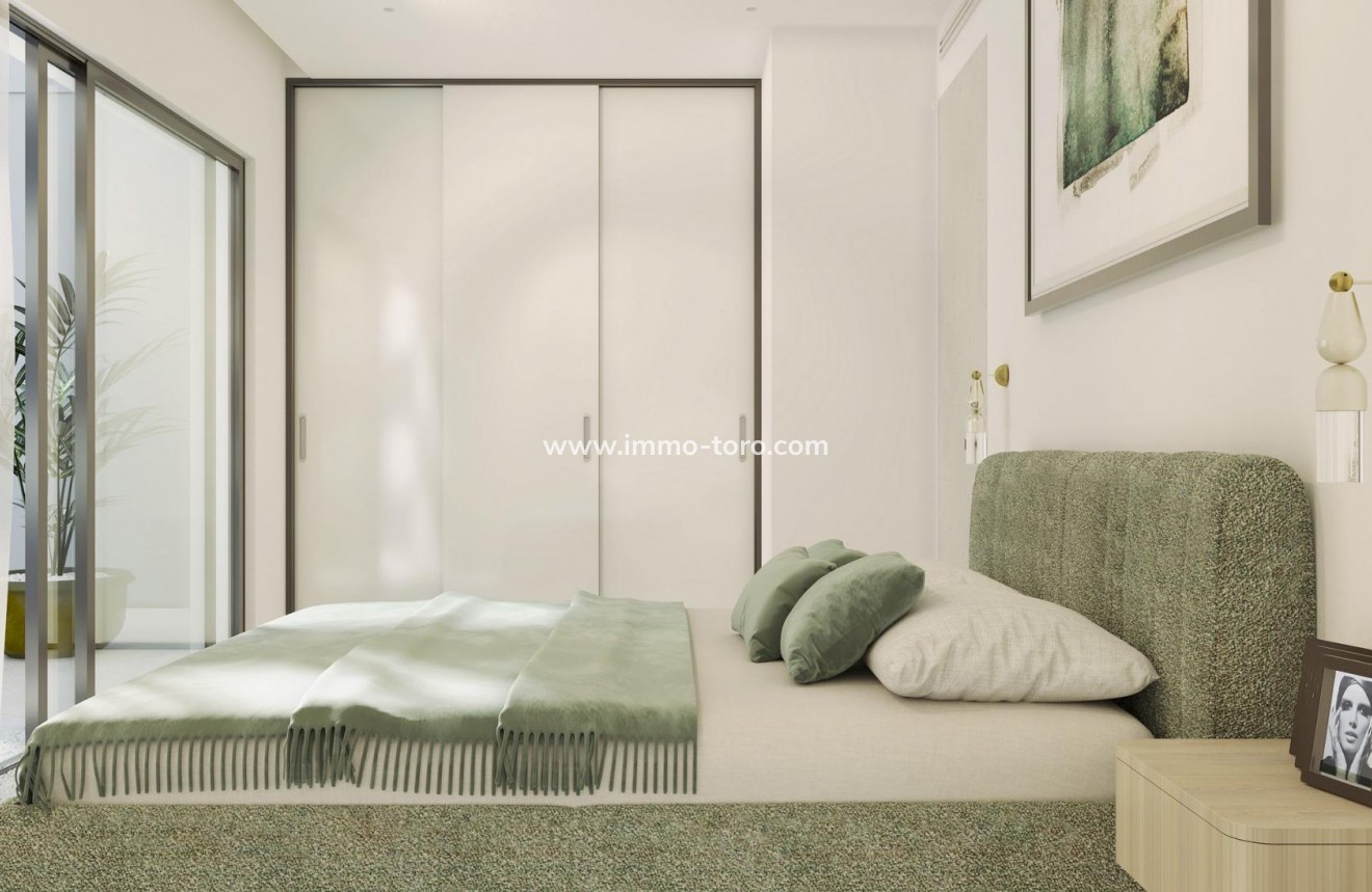 New Build - Detached house / Townhouse - Guardamar - El Raso