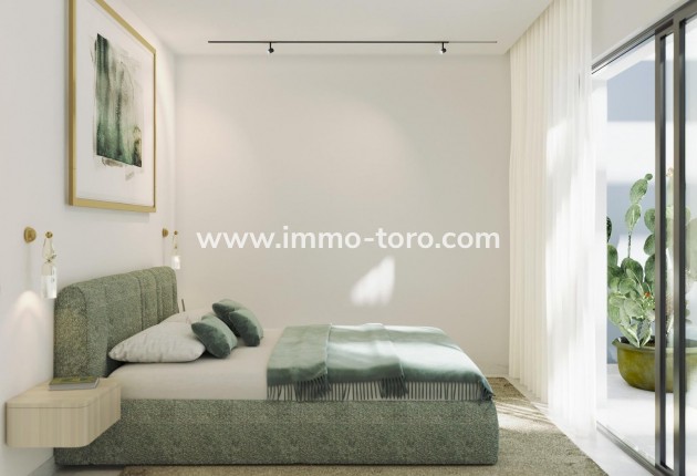 New Build - Detached house / Townhouse - Guardamar - El Raso