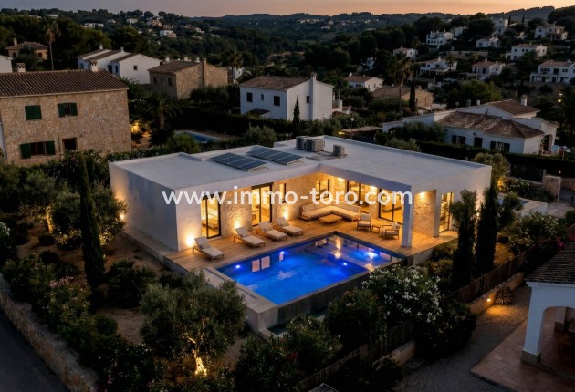 New Build - Villa - Aspe - urbanizaciones