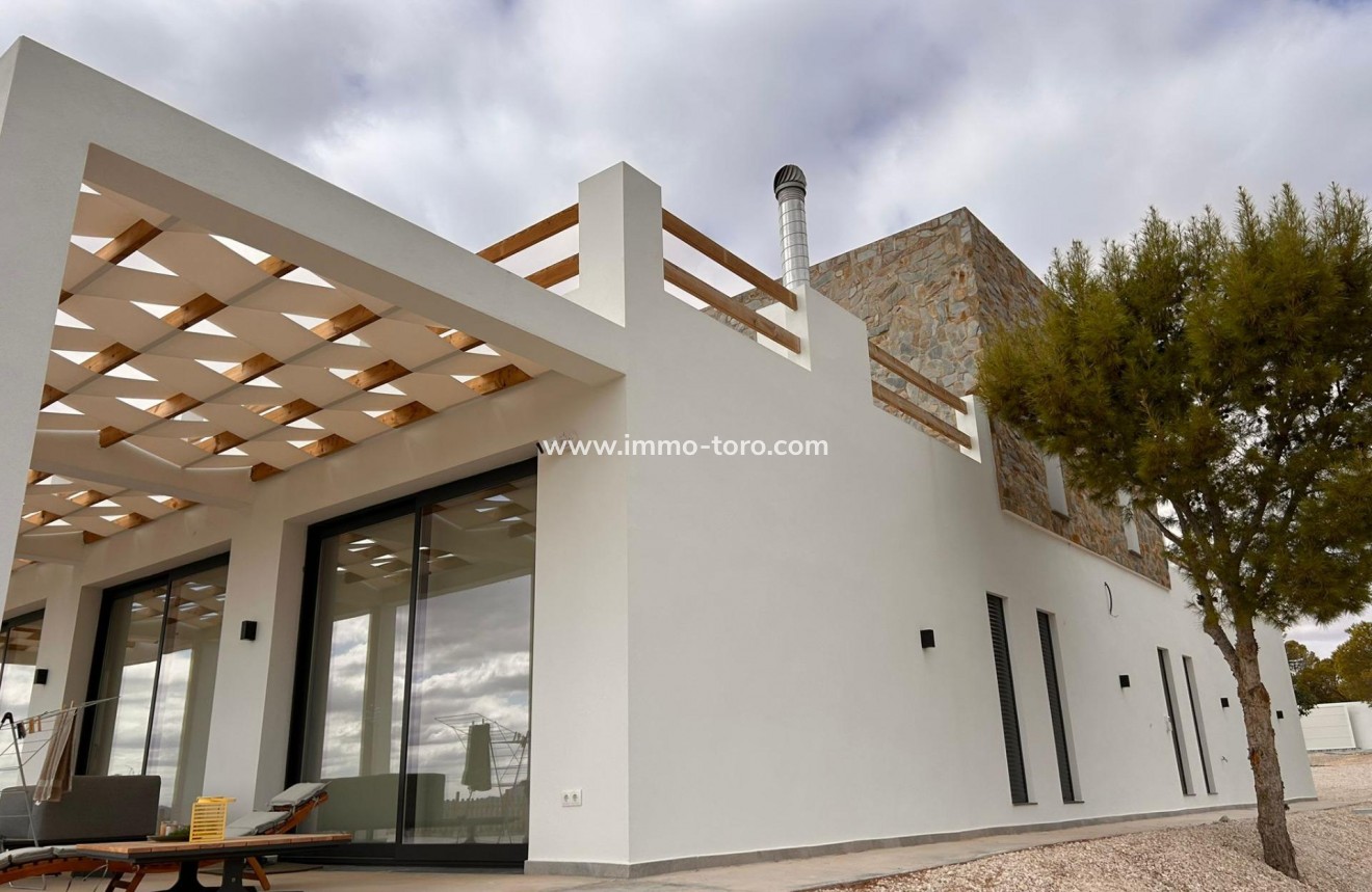 New Build - Villa - Pinoso - Casas Pastor