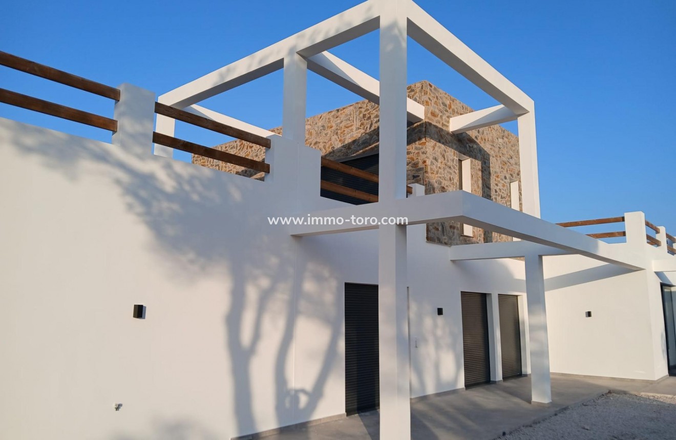 New Build - Villa - Pinoso - Casas Pastor