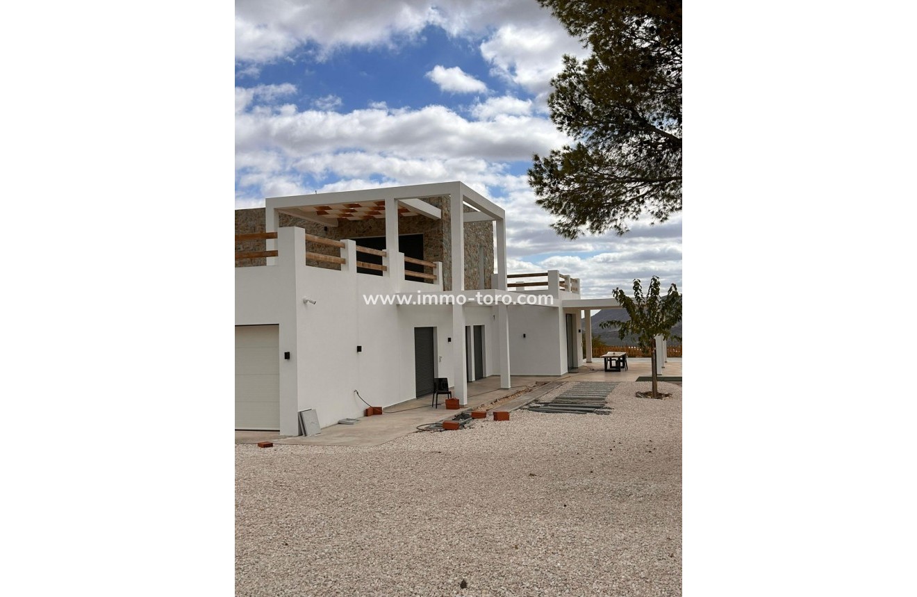 New Build - Villa - Pinoso - Casas Pastor