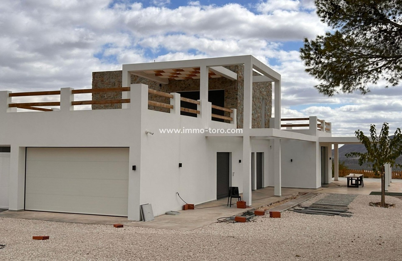 New Build - Villa - Pinoso - Casas Pastor