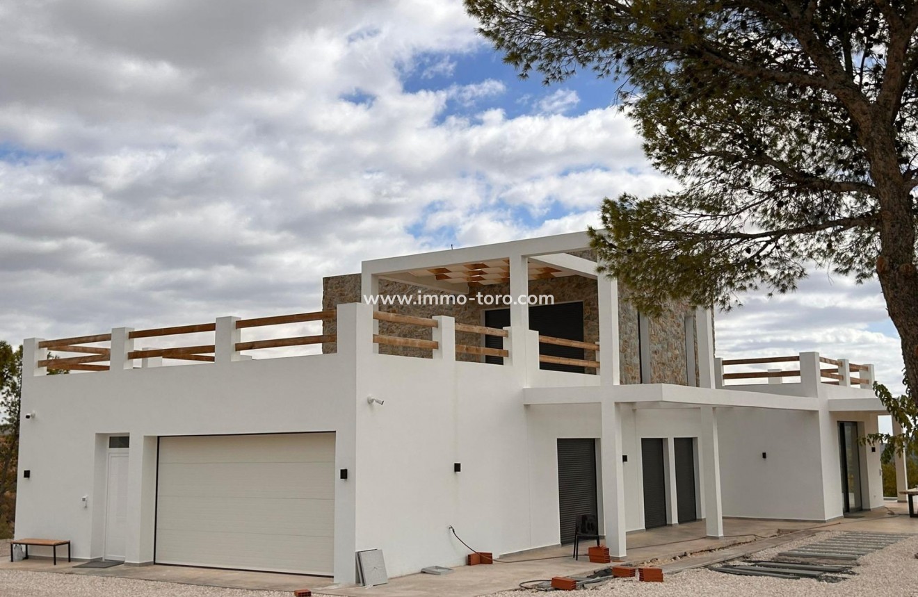 New Build - Villa - Pinoso - Casas Pastor