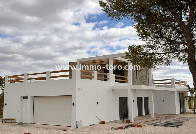 New Build - Villa - Pinoso - Casas Pastor