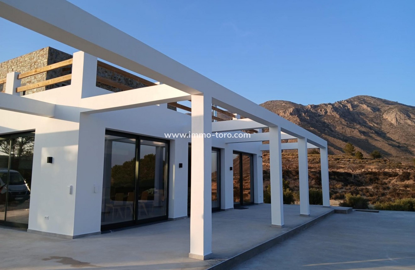 New Build - Villa - Pinoso - Casas Pastor